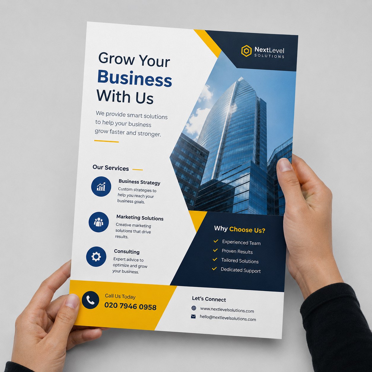 Professional business flye